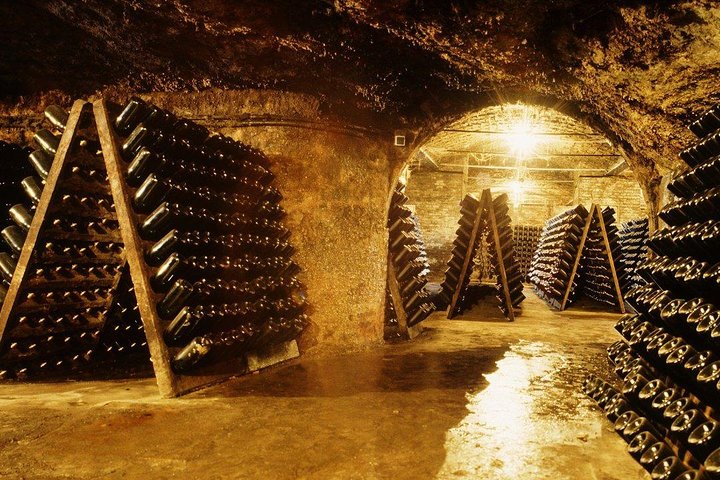 Cavas Freixenet Wine Tour from Mexico City