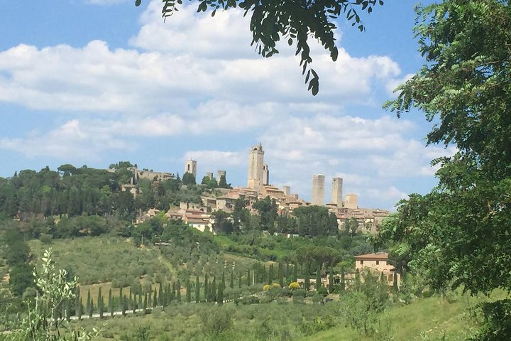 Authentic Tuscany Experience: Siena, Wine tour, San Gimignano