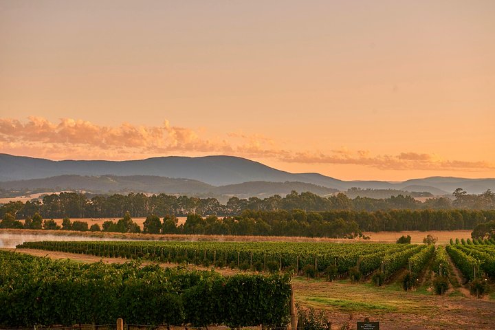 Yarra Valley Master Classes &#038; 3 Course Champagne Lunch &#8211; Up to 6