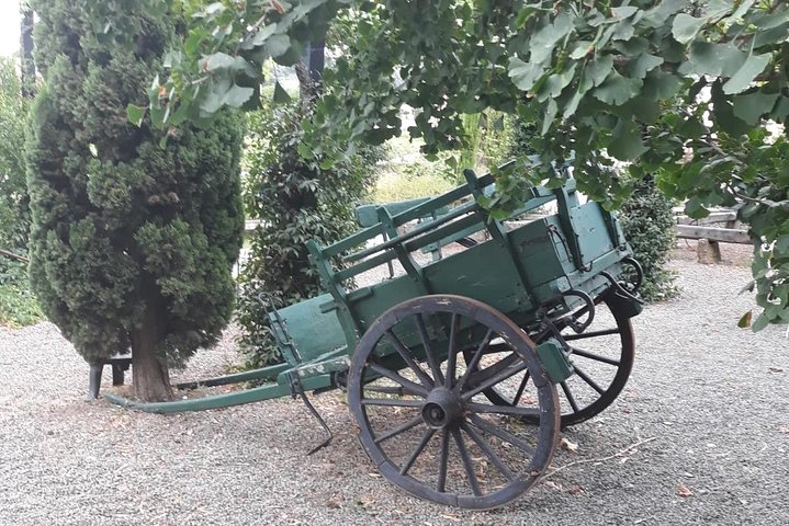 Wine – Oil tasting & lunch from Rome – Private Tour