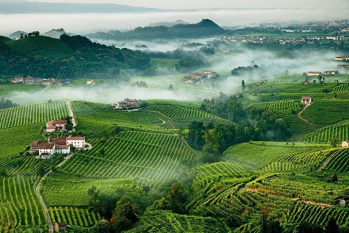 Franciacorta Wines & Bergamo from Milan – Private Tour