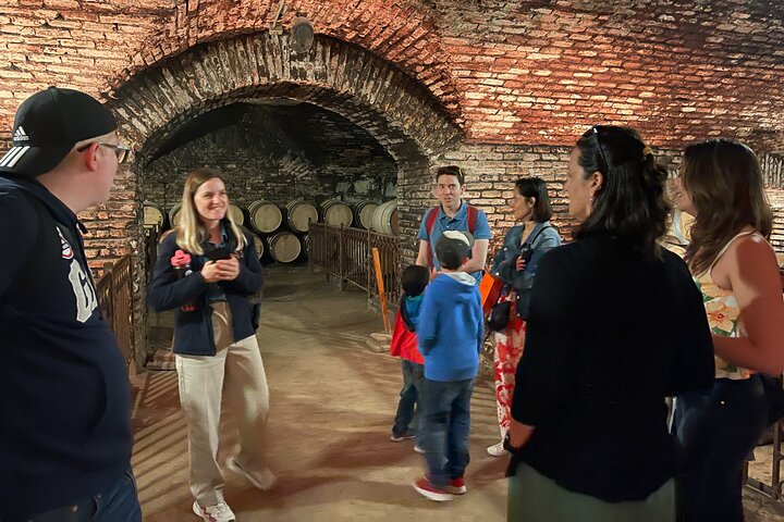 From Santiago: Concha y Toro Traditional Vineyard Half Day Tour