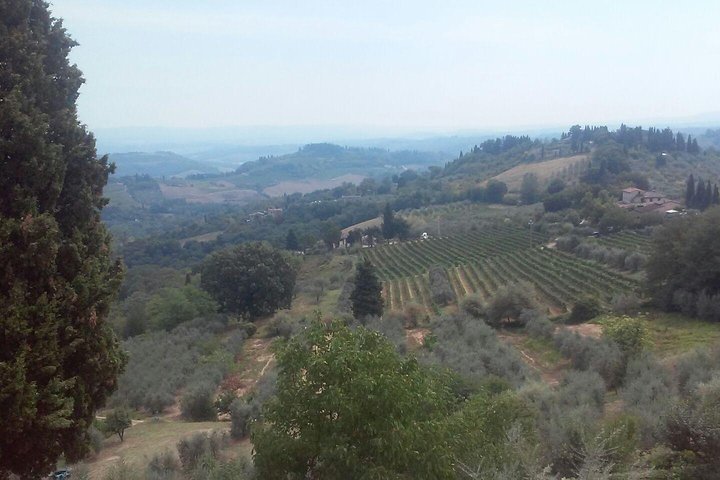 wine tasting in Chianti and San Gimignano