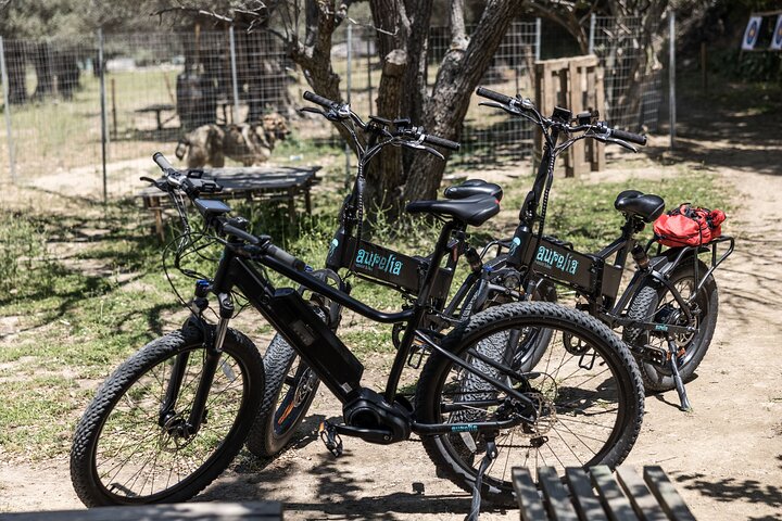 Halbtägige interaktive E-Bike-Führung | Inland-Methexis
