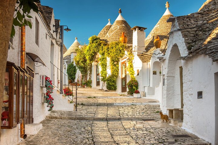 Alberobello private walking tour with lunch