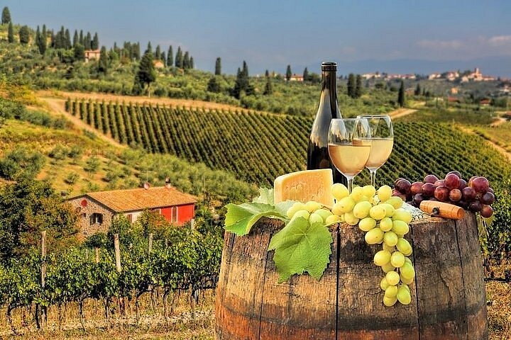 Private Tour to Chianti Classico from Florence