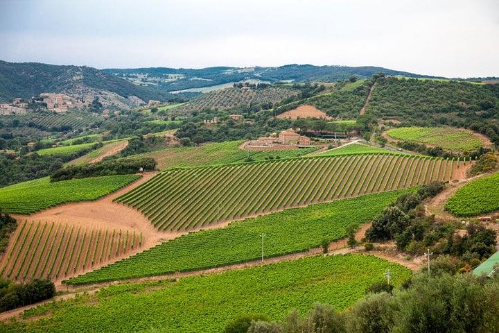 The Complete Wine Tour Brunello, Nobile, Chianti wine experience