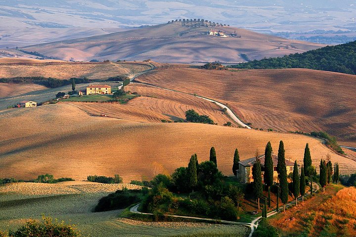 Exclusive Val d’Orcia Tour from Florence – A cinematic universe for wine lovers
