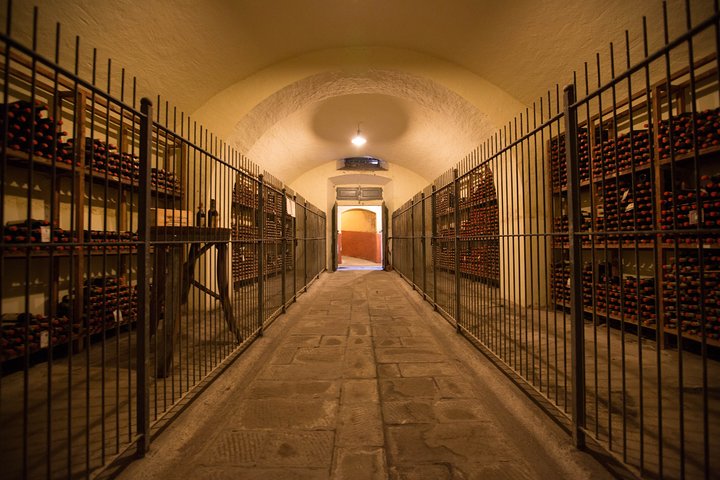 Wine Tour Experience