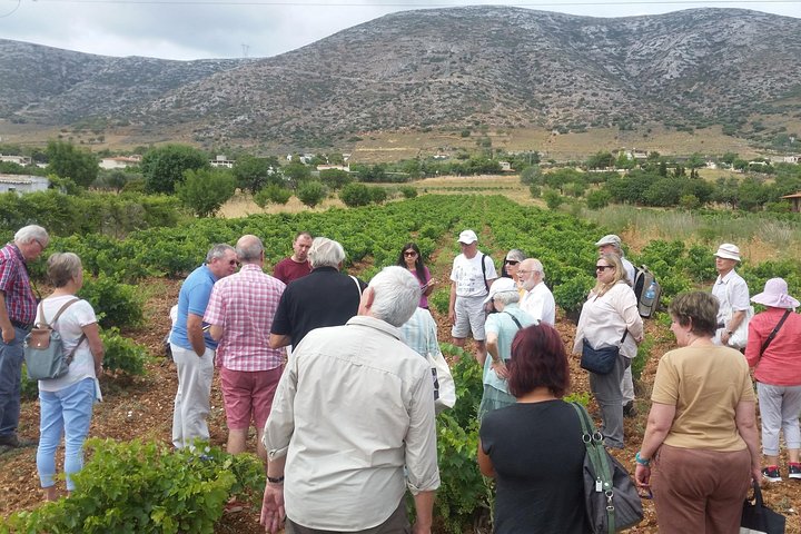 Athens Private Wine Tour and lunch in a seaside tavern