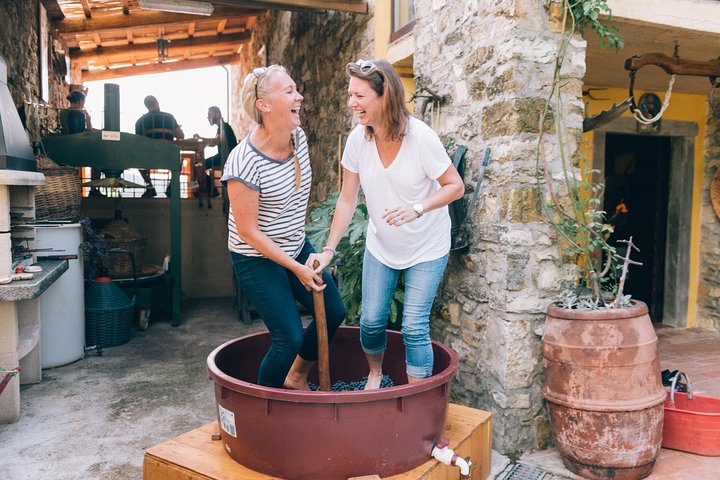 Grape stomping in Tuscan farmhouse