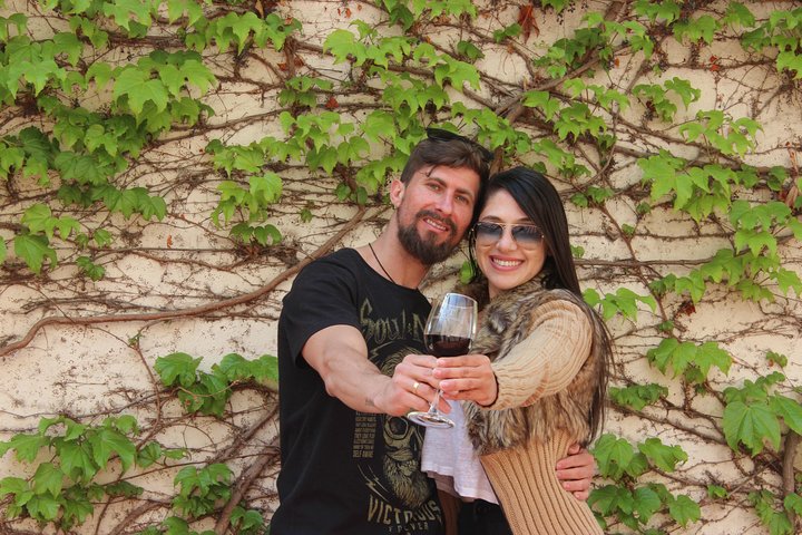Concha y Toro Vineyard Traditional Tour