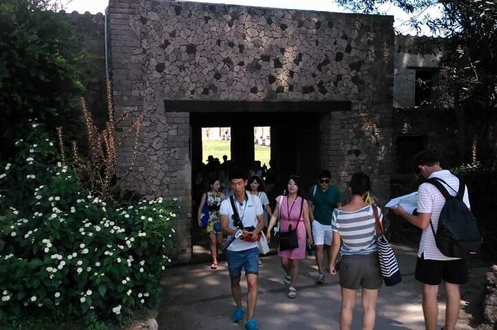 Vesuvius Wine tasting and lunch and Pompeii Full day private tour
