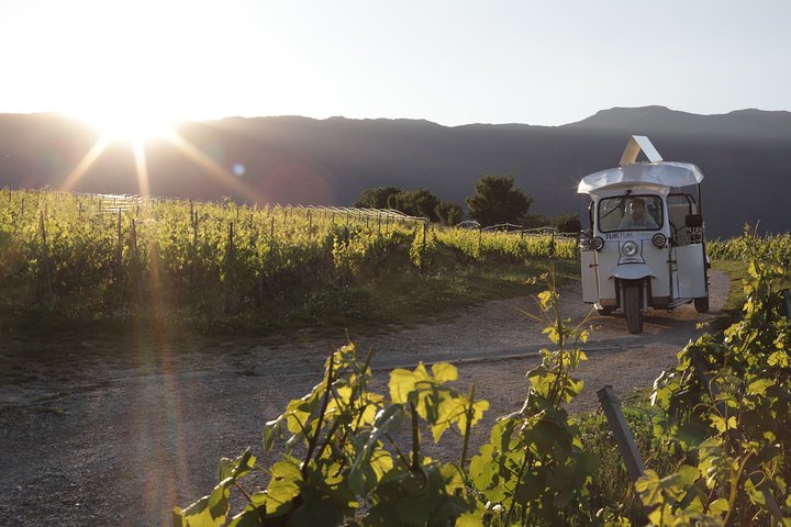 Geneva Panoramic and Tasting Vineyards Tour in a TukTuk (electric)