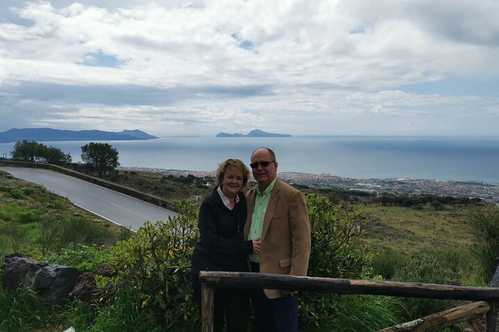 Pompeii SkipTheLine and Mt Vesuvius with Lunch&WineTasting from Naples Port