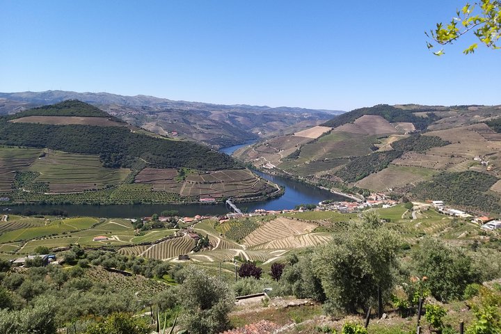 Private Tour zum atemberaubenden Douro-Tal und zu den bekanntesten Weingütern