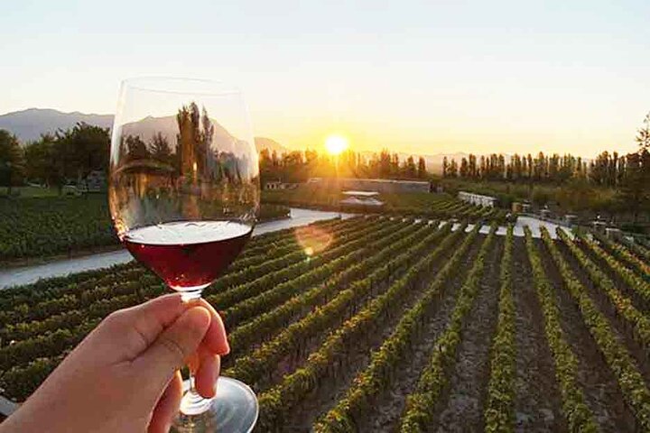 Alyan Vineyard Sunset Wine Experience with Dinner