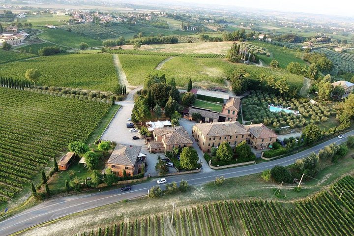 Montepulciano Noble Wines tour in Tuscany from Rome