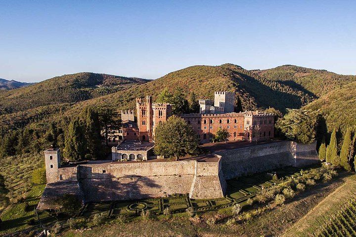 Siena and Chianti Castle with Lunch&WineTasting from Florence