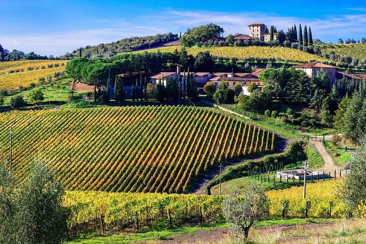 Full day Wine Tour in Chianti from Florence or Siena