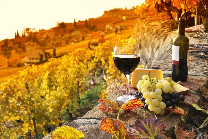 Montepulciano and Pienza Tuscany Wine&Cheese Fullday from Florence