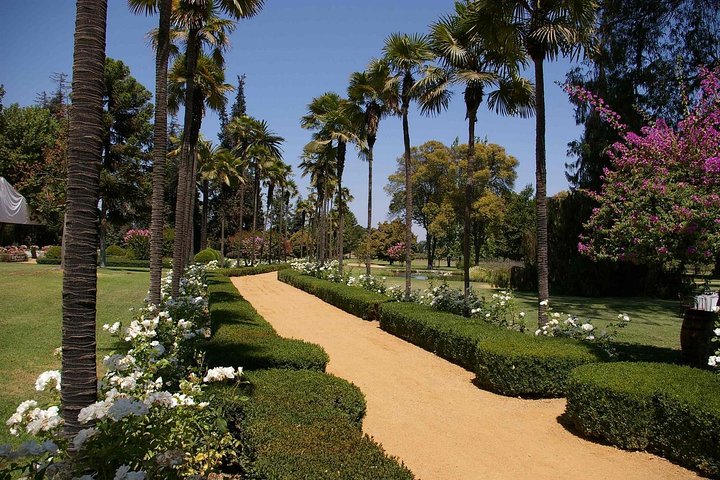 PRIVATE TOUR: Pre-Post Cruise Viña del Mar Valparaiso and Casablanca Winery tour