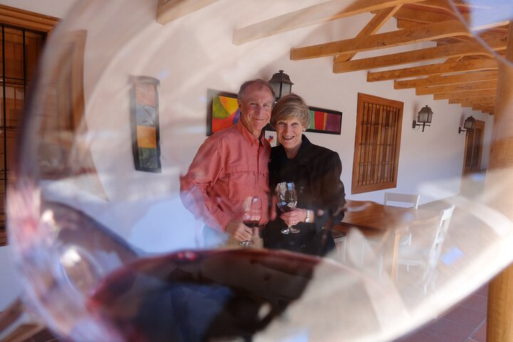 Full Day Private Colchagua Wine Tour from Santiago