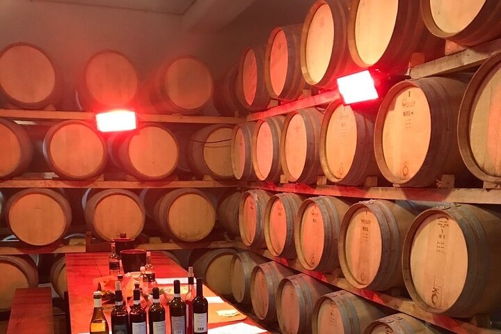 Private Day between Vineyards and Wine Cellars in Chianti