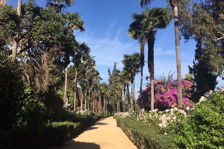 Half Day Trip to Undurraga Vineyard from Santiago – Wine Tasting Included