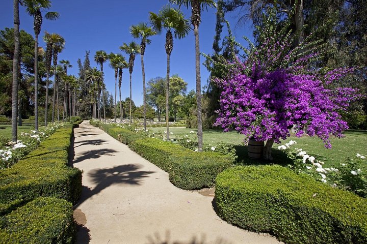 San Antonio Small Group Pre-Post Cruise Santiago City Tour and Undurraga Winery