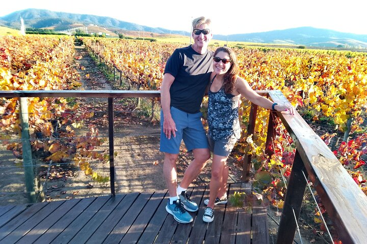 Casablanca Valley & The Wine route – Private tours – Full day