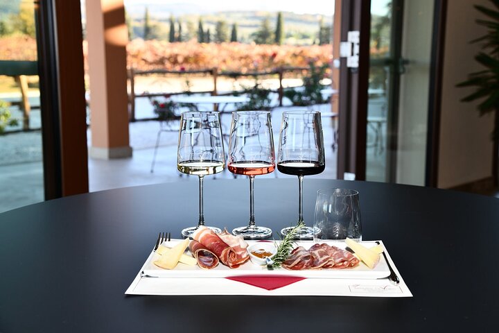 Exclusive Bolgheri from Florence: The Land of the Super Tuscan