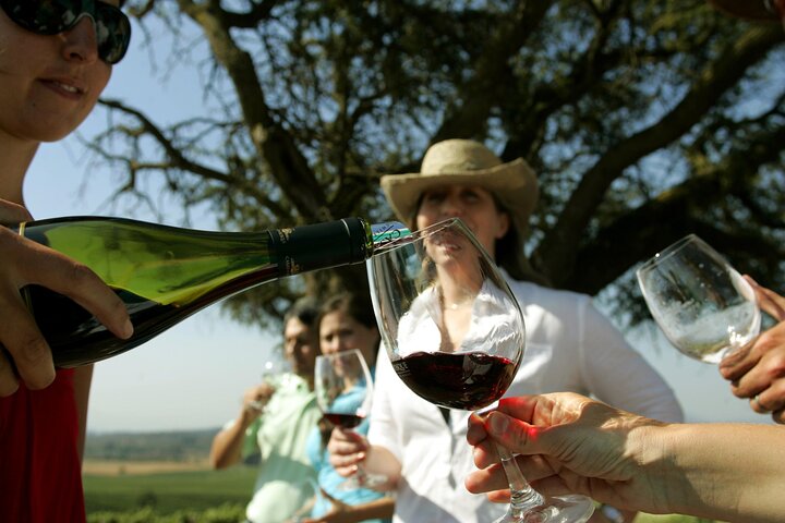 Wine Tour and Santiago City in a Small Group