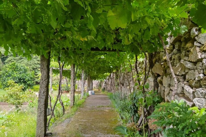Private Vinho Verde-Tour