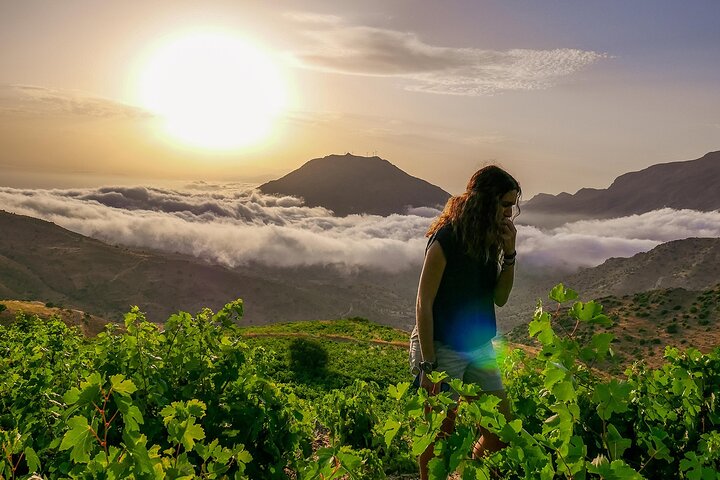 Half-Day Old Vines Wine Tasting in Rethymno