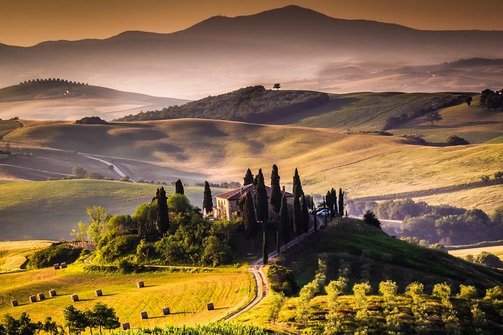 Art/Culture/Wine and food of Tuscany: private tour (hotel pick up/drop off)