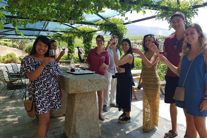 Douro Valley für Weinliebhaber mit Besuch in 3 Weinbergen und Mittagessen in einer Weinkellerei