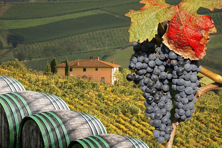 Private Chianti Tour and Wine Tasting