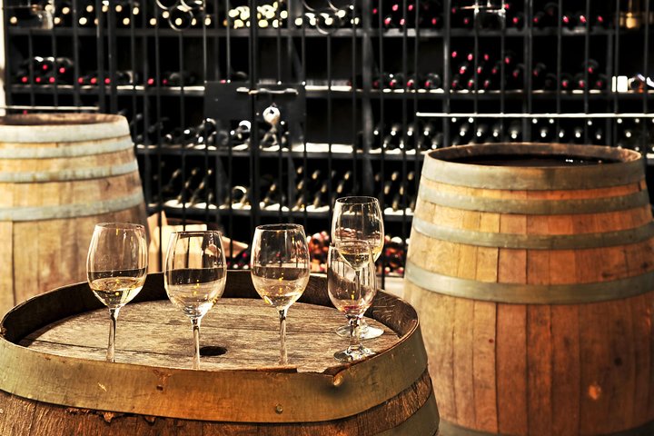 Chianti Lovers in the countryside Private tour: 2 winery tour with lunch