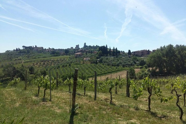 San Gimignano, Saffron and Vernaccia Wine from Florence