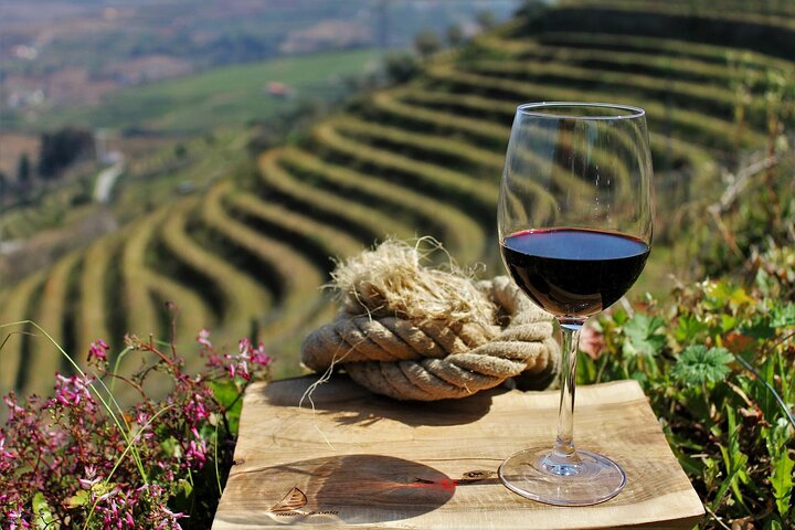 Douro-Weintour mit 3 Weinkellereien und Mittagessen in kleiner Gruppe