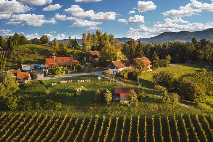 Zagreb – Vuglec Breg (winery)