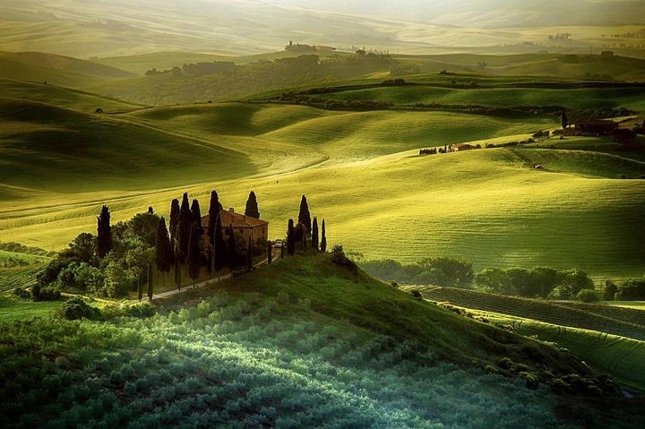 Day trip from Florence: Deluxe Wine Tasting Tour in Montalcino – private tour