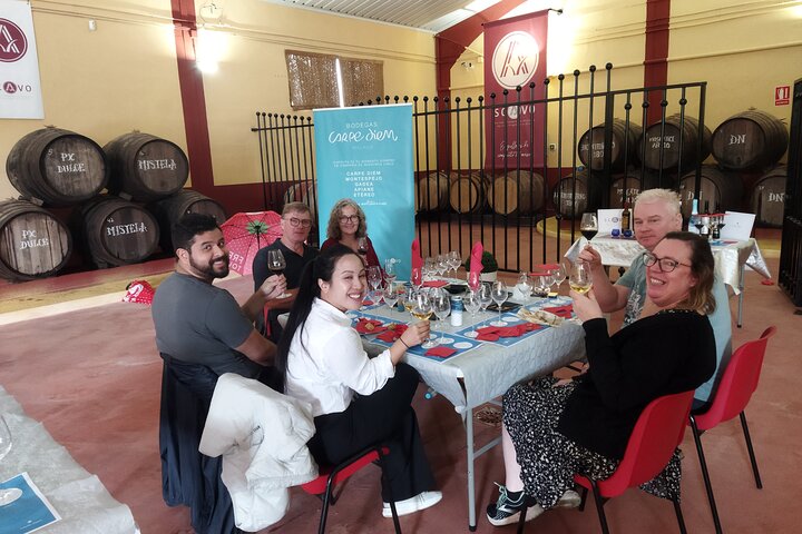 Winery and Olive Mill Guided and Tasting Tour with Tapas