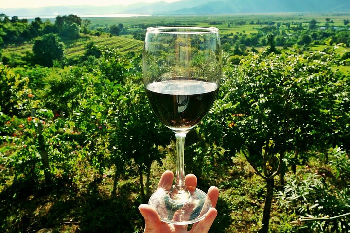 Chianti VINARIUM Tour from Rome