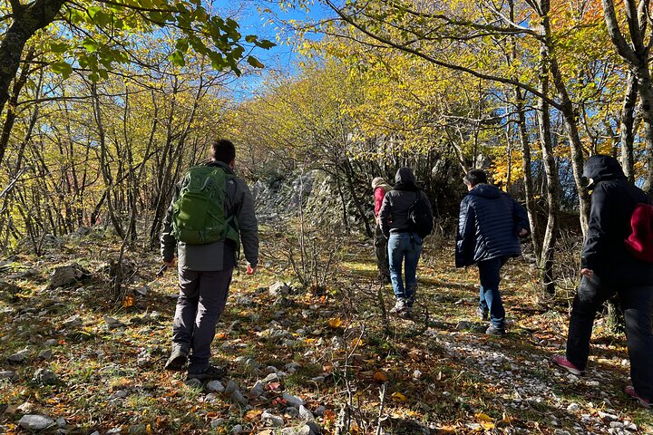 Full-Day Private Tour Truffles Lovers Experience with Lunch