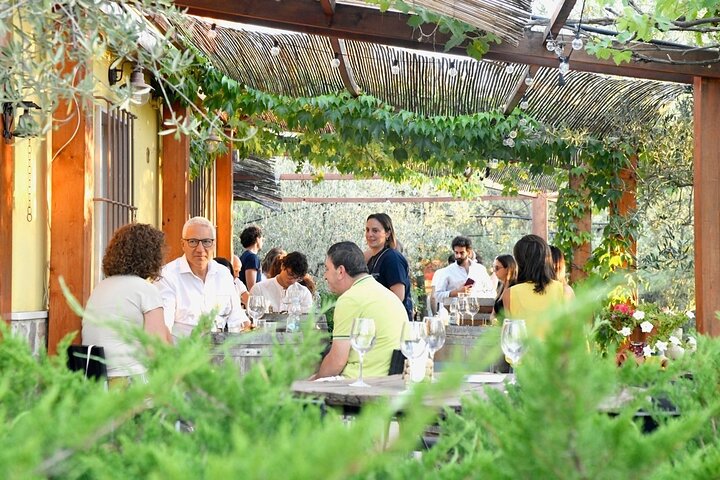 guided tour of vineyards and cellars with final tasting