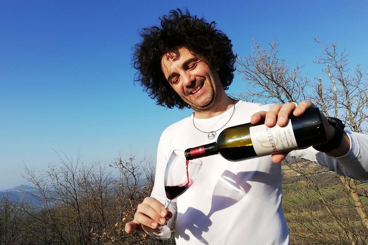 Private Wine Tour and Tasting with an Expert Guide and Sommelier