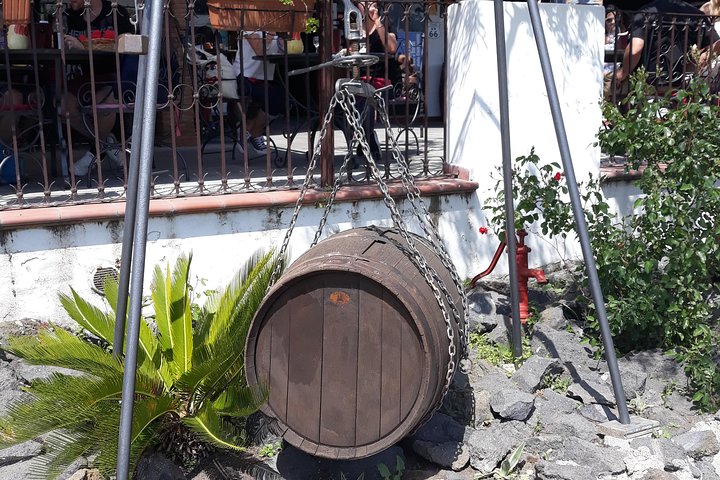 Pompeii and winery day tour