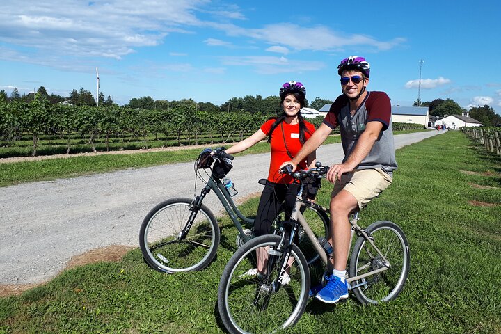 Niagara Wine and Cheese Bicycle Tour with Local Guide